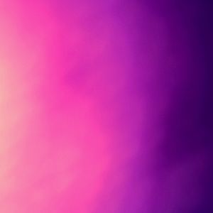 Meet your Posher, Kyra